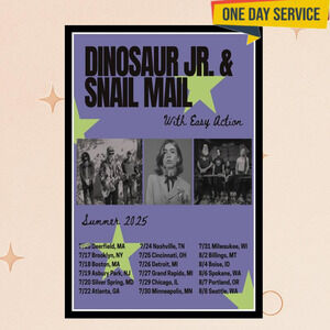 Dinosaur Jr Snaul Mail Summer 2025 Poster